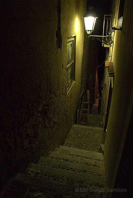 _GA20414.jpg - scilla