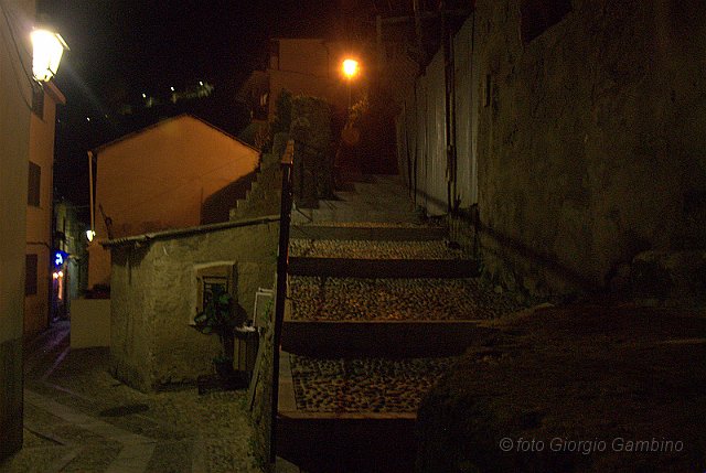 _GA20415.jpg - scilla