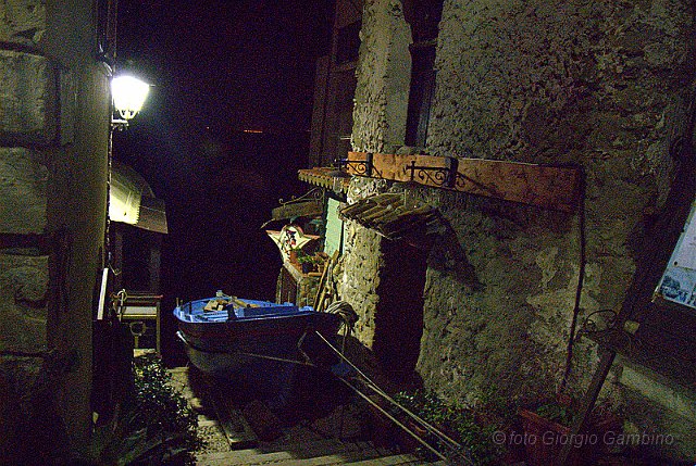 _GA20418.jpg - SCILLA